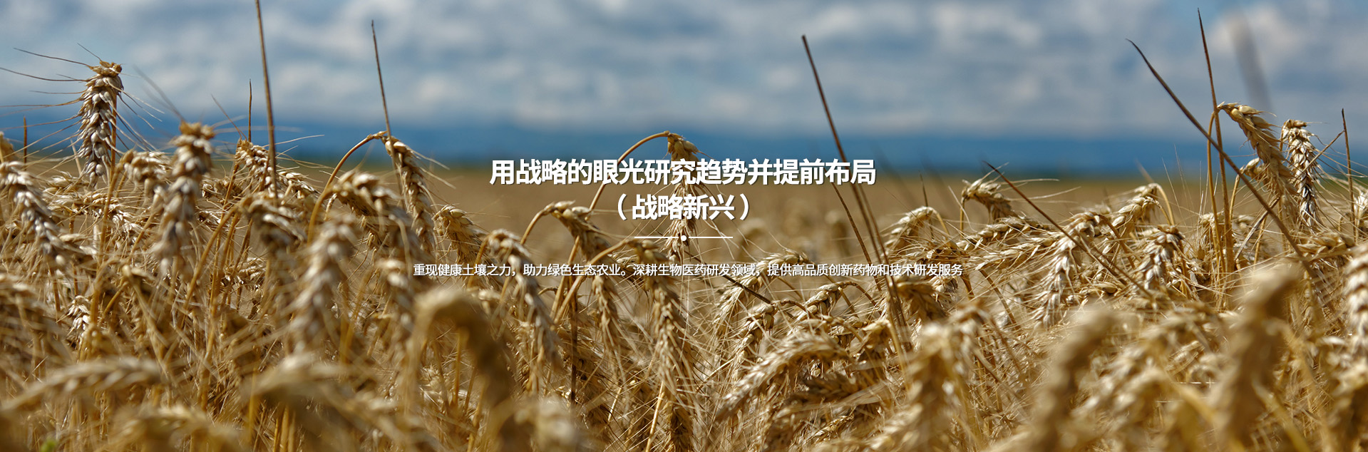 君临国际